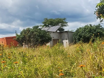 Farm & Agricultural Land