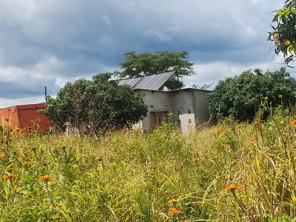 Farm & Agricultural Land