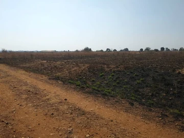 Farm & Agricultural Land