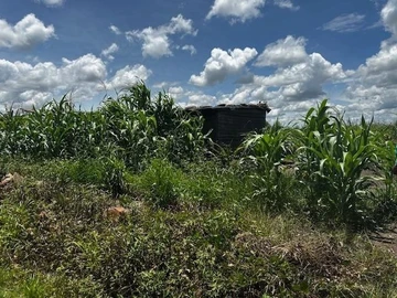 Build Your Dream Home