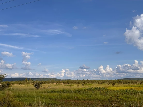 Commercial & Industrial Land