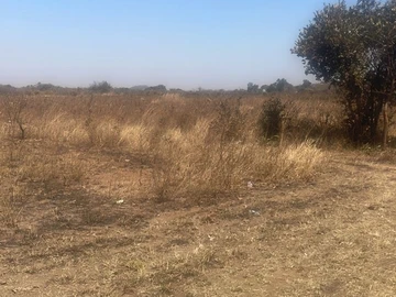 Commercial & Industrial Land