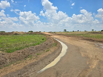 Stands & Residential Land