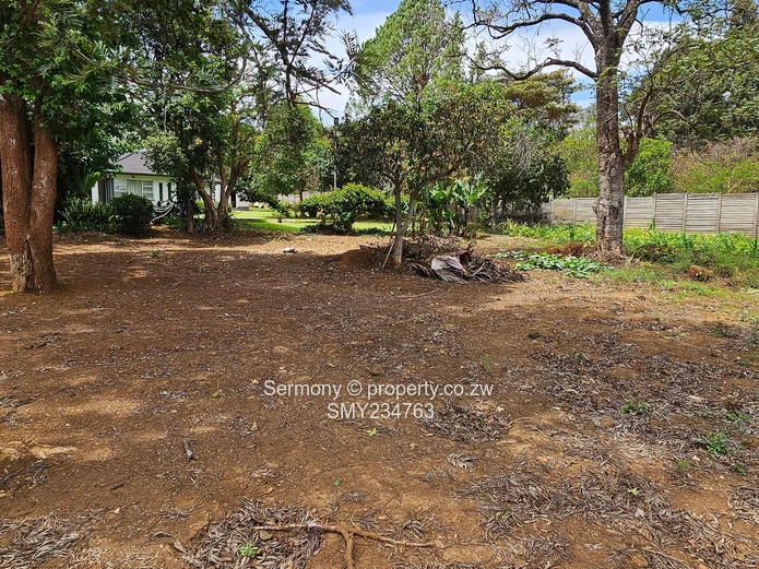 Residential house for rent