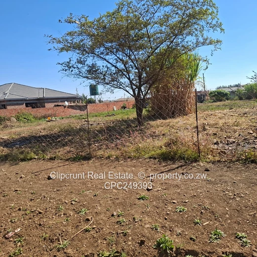 Beatuful stand for sale