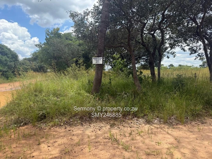 Farm for rent 