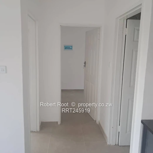 An investment opportunity (Sole Mandate)