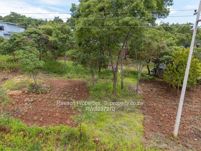 Superb opportunity Carrick Creagh  (Sole Mandate)