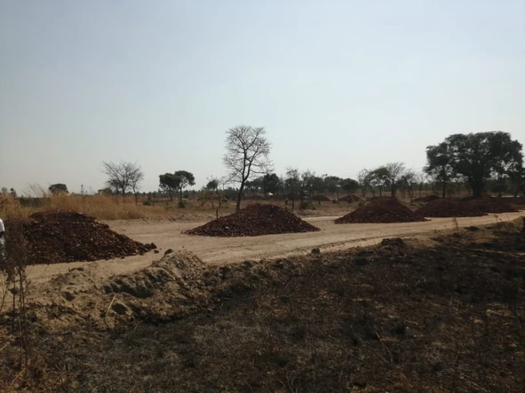 Stands & Residential Land
