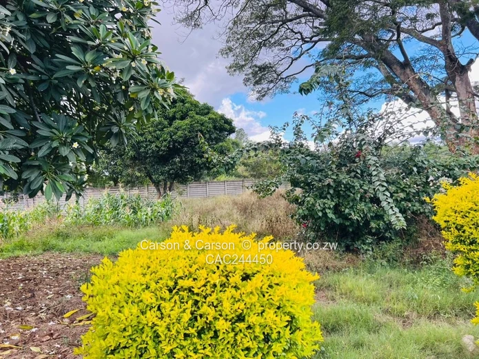 Subdivision stand for sale