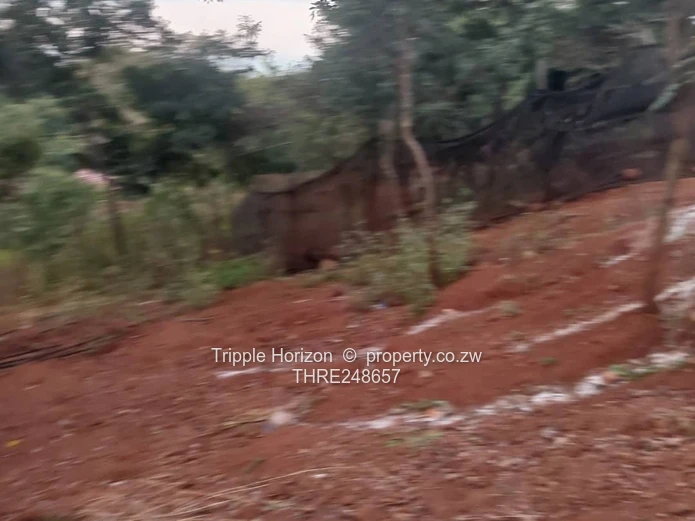 2000m² Shawasha Hills Stand — Main Road Frontage, Red Soil & Outbuilding