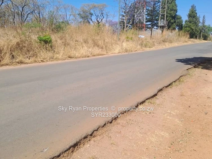 Borrowdale Stands For Sale