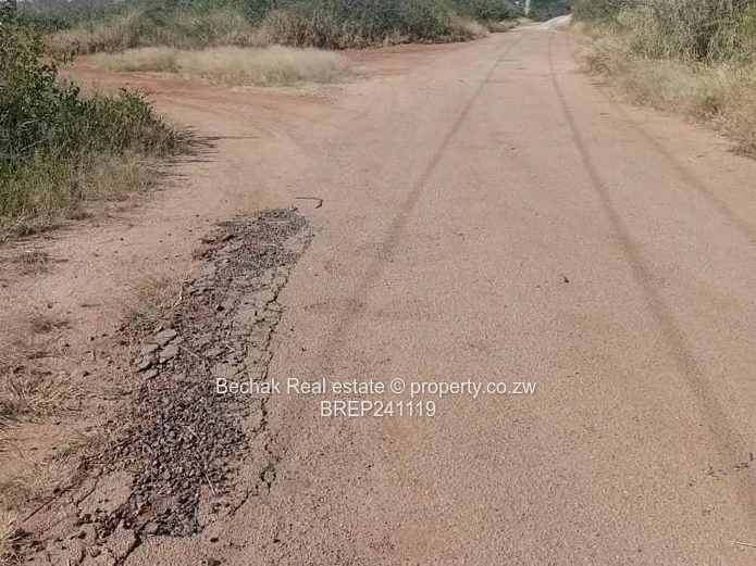 43-Acre Riverside South: Subdivision Potential, Gravel Road