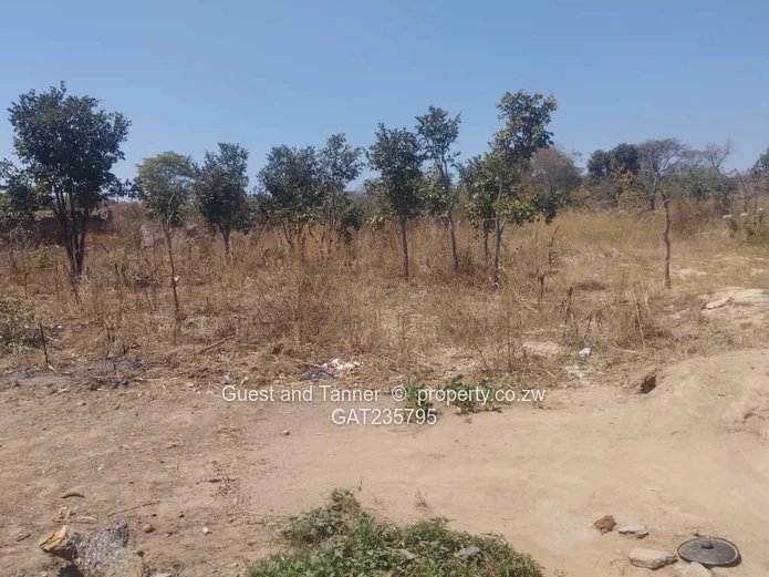 Residential Stands for Sale In Crowhill