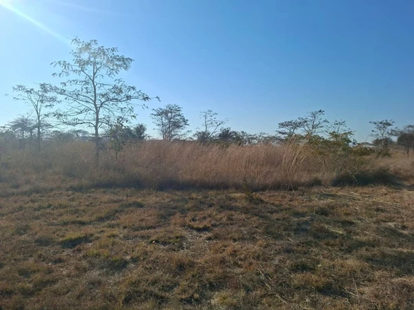 Commercial & Industrial Land