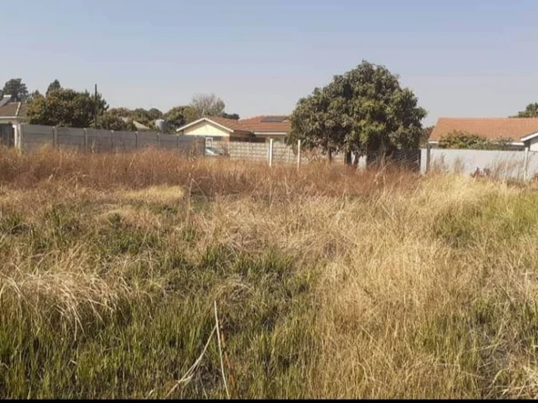 Stands & Residential Land