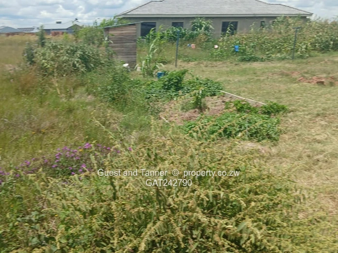 2 Stands For Sale - Penrose, Nyabira