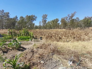 Farm & Agricultural Land