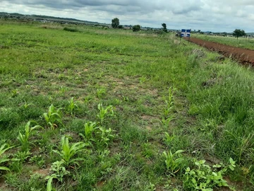 Stands & Residential Land