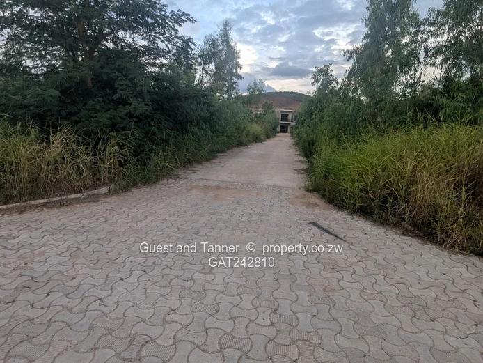 Stands for sale in Cold Comfort Pleasant Valley Gated Community