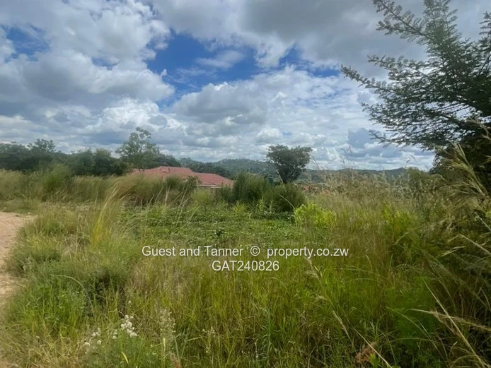 Stands in Charlotte Brooke for Sale