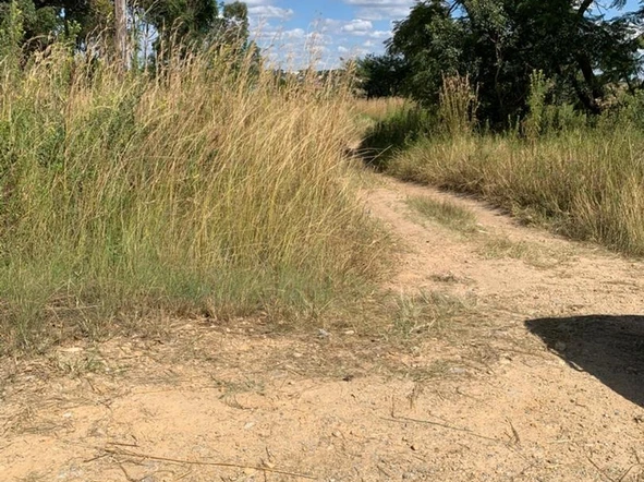 Commercial & Industrial Land