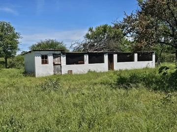 Farm & Agricultural Land