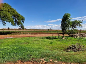 Shop & Retail Property