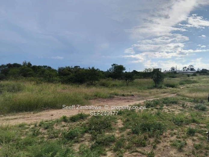 Prime Land for Sale – Manningdale, Bulawayo (Sole Mandate)