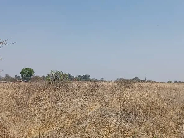 Farm & Agricultural Land