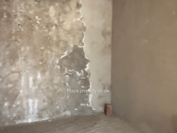 Investment Gem Finish and Profit!