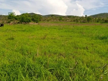 Farm & Agricultural Land