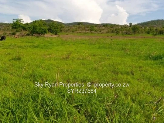 Prime Agro Plots for sale in Shamva
