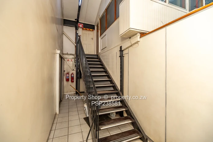 Prime High Visibility Showroom