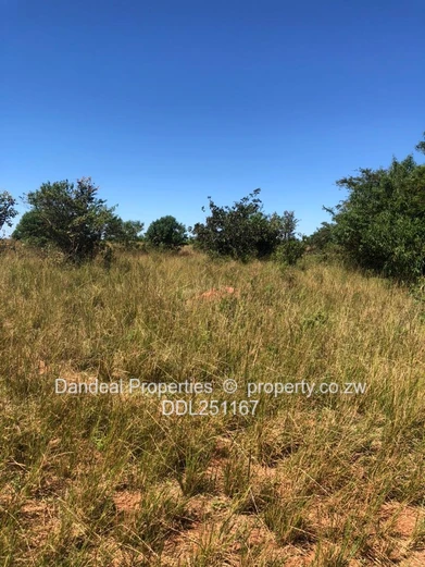 100ha Lakeside Residential Development in Chiredzi  Subdivision  Permit i