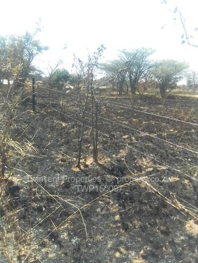 A sizeable piece of land fit for cultivation. 