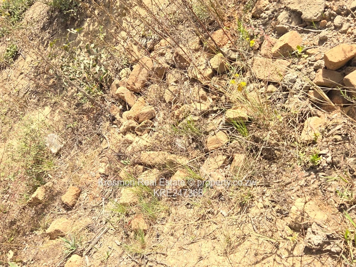 Plot For Sale