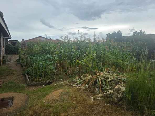 Stands & Residential Land