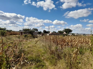 Land