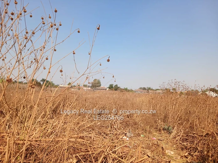 2.3ha Marlborough Land — Subdividable with Main Road Frontage (Sole Mandate)