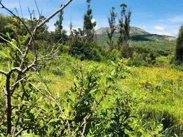 Expansive 99,000 m² Land in Scenic Nyanga - Your Dream Awaits!