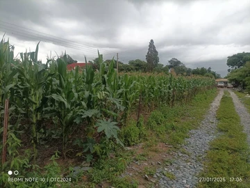 Waterfalls  land for sale 