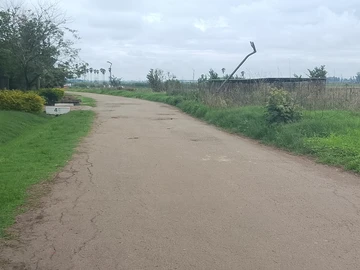 Stands & Residential Land