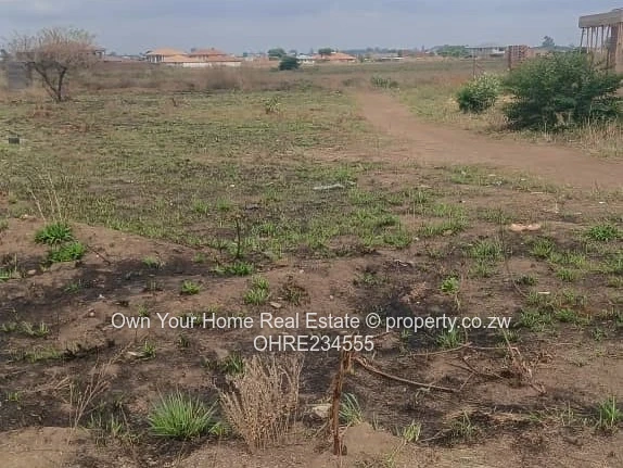 Sandton stand for sale 