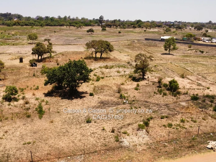 Commercial Stands -Airport Road Frontage 