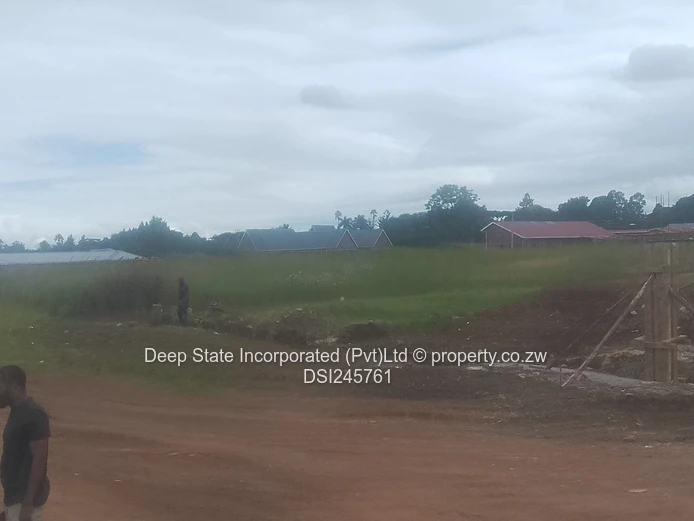 Mt pleasant/Vainona stand for sale 