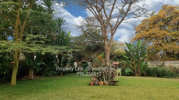 Prime Main-Road Property - Special Consent Potential!