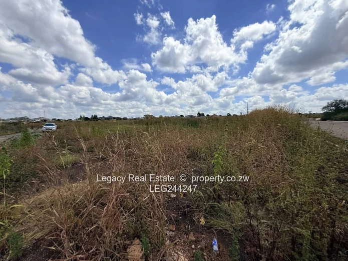 Good Investment Opportunity - Corner Stand in a Prime location.