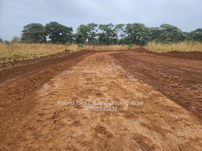 Chinhoyi Mzari stands only 1000usd deposit