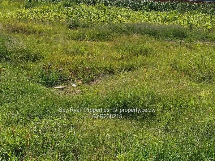 Beatrice Commercial Property For Sale